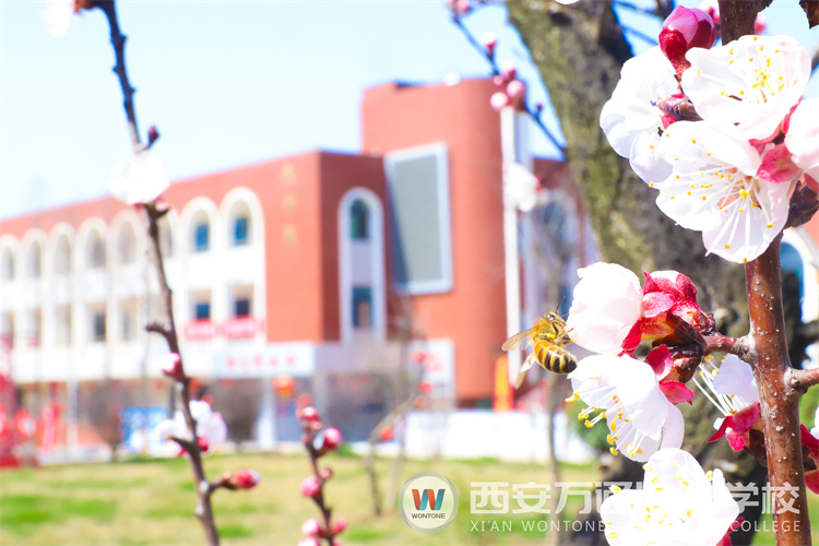 “元素周期表”中尋找西安萬通關(guān)鍵詞！